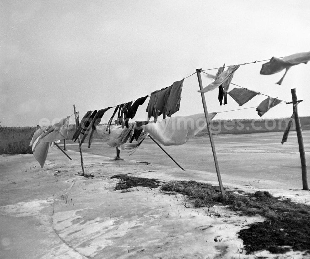 GDR image archive: Ahrenshoop - Im Ostseebad Ahrenshoop hängt Wäsche im Winter zum Trocknen auf einer Leine an der Boddenküste (Saaler Bodden).
