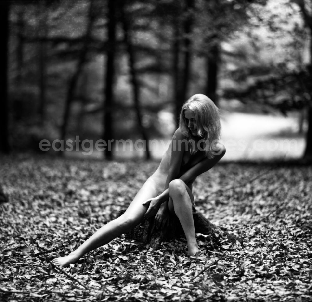 GDR image archive: Born am Darß - Nude of a young woman in Born am Darss in the state Mecklenburg-Western Pomerania on the territory of the former GDR, German Democratic Republic