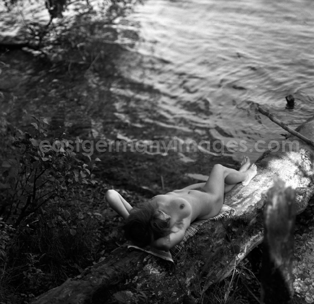 GDR picture archive: Born am Darß - Nude of a young woman in Born am Darss in the state Mecklenburg-Western Pomerania on the territory of the former GDR, German Democratic Republic