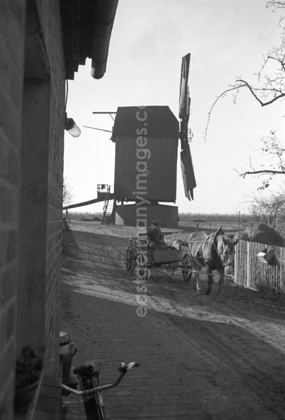 GDR photo archive: Schkeuditz - Ein Bauer fährt mit seinem Pferdegespann vom Hof der Mühle in Kleinliebenau.