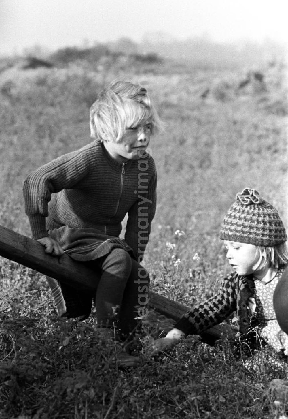GDR picture archive: Leipzig - Während die Mütter bei der Ernte auf dem Land mithelfen müssen, spielen die Kinder in der Nähe auf dem Feld.