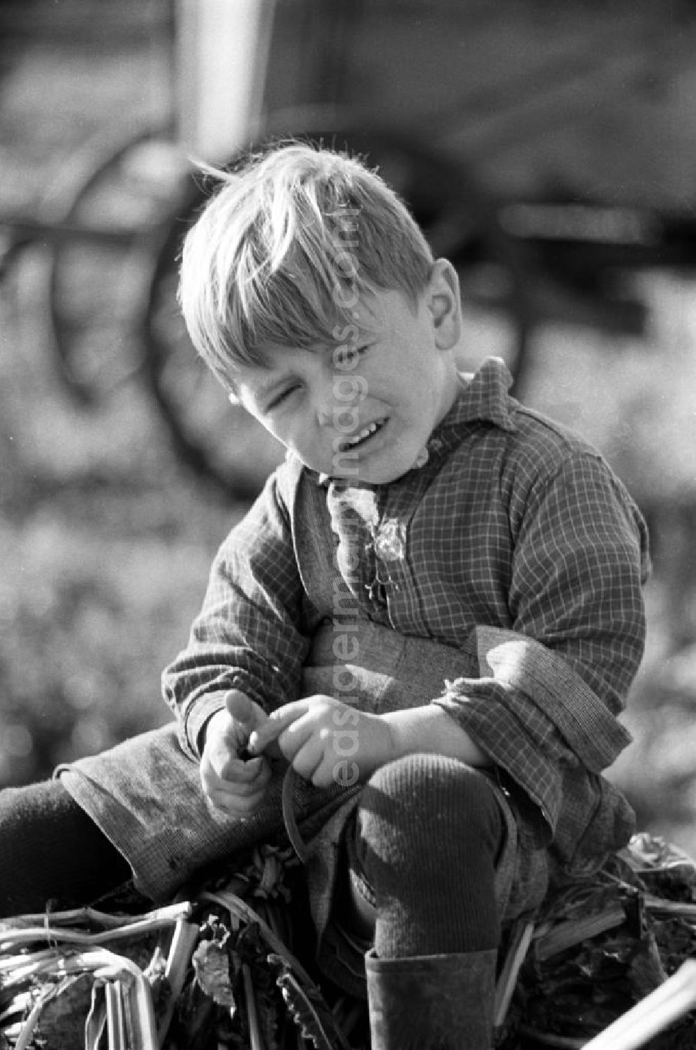 GDR photo archive: Leipzig - Ein kleiner Junge sitzt auf einem Haufen aus Rübenblättern. Während die Mütter bei der Rübenernte auf dem Land mithelfen müssen, spielen die Kinder unter sich.