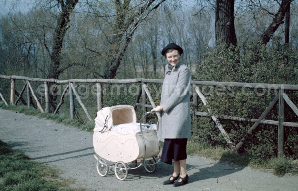GDR picture archive: Merseburg - Spaziergang in Merseburg. Frau mit Kinderwagen im Park. Walk in Merseburg. Woman with a stroller in the park.