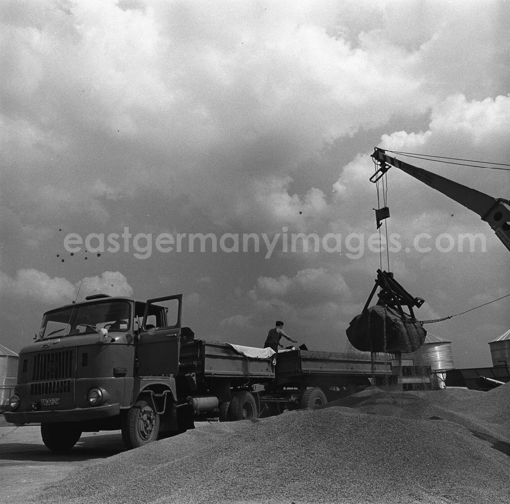 GDR image archive: Trinwillershagen - Grain is loaded onto a truck type W5