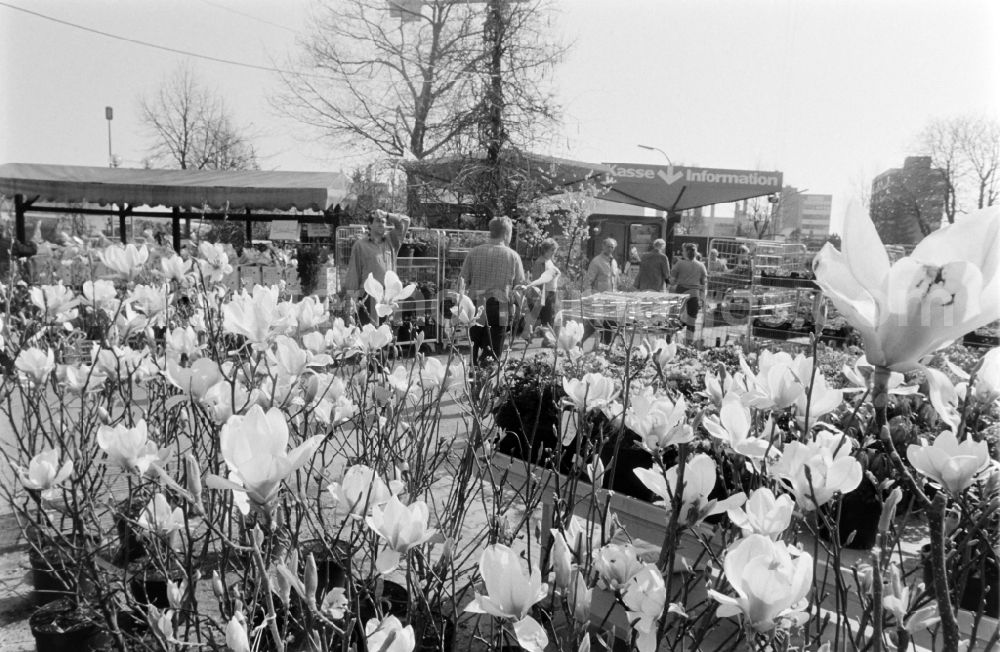 GDR picture archive: Berlin - Pluta garden center on Buckower Chaussee in Alt-Marienfelde in Berlin