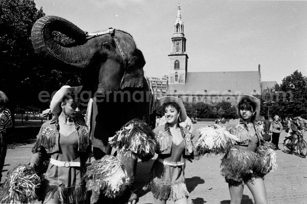 GDR photo archive: Berlin-Mitte - American Cirkus vorm Roten Rathaus 17.