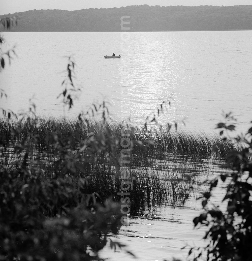 GDR image archive: Neubrandenburg - A man who fishes, with boat on the Tollensesee in Neubrandenburg in the federal state Mecklenburg-Vorpommern on the territory of the former GDR, German Democratic Republic