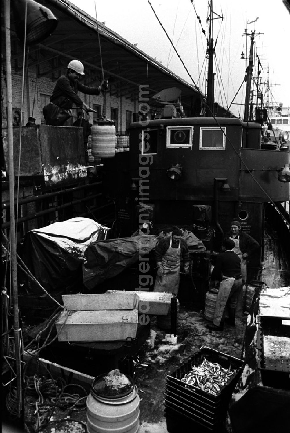 GDR picture archive: Saßnitz - Ansichten auf verschiedene Arbeitsbereiche einer Fischereibesatzung im Saßnitzer Hafen.