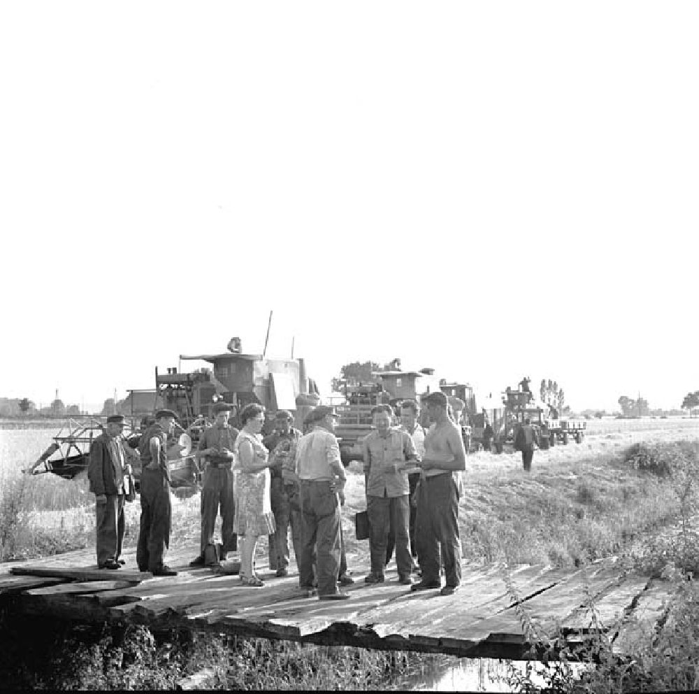 Kreis Seelow: Arbeiter der LPG Karl Marx bei der Ernte, stehen zusammen auf Holzbrücke welche über einen Graben führt. Trecker / Traktoren / Mähdrescher im Hintergrund.