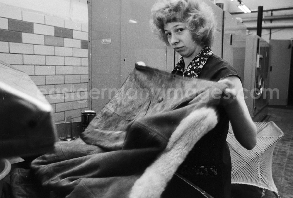 GDR photo archive: Berlin - A worker in the VEB united laundrys Berlin Rewatex with clean of a coat in Berlin, the former capital of the GDR, German democratic republic