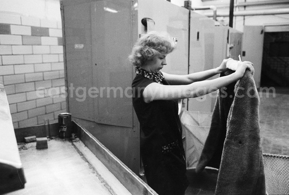 Berlin: A worker in the VEB united laundrys Berlin Rewatex with clean of a coat in Berlin, the former capital of the GDR, German democratic republic