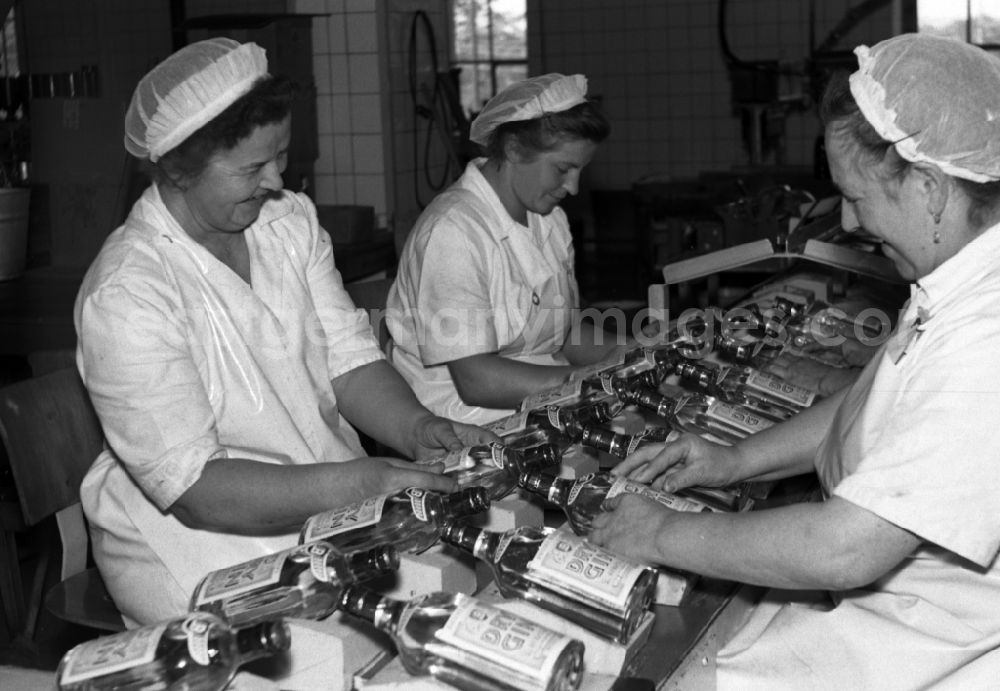 GDR image archive: Dresden - Female workers on the assembly line of the VEB nationally owned enterprise Bramsch spirits factory in Dresden in the state Saxony on the territory of the former GDR, German Democratic Republic. Employees stick labels on bottles for gin
