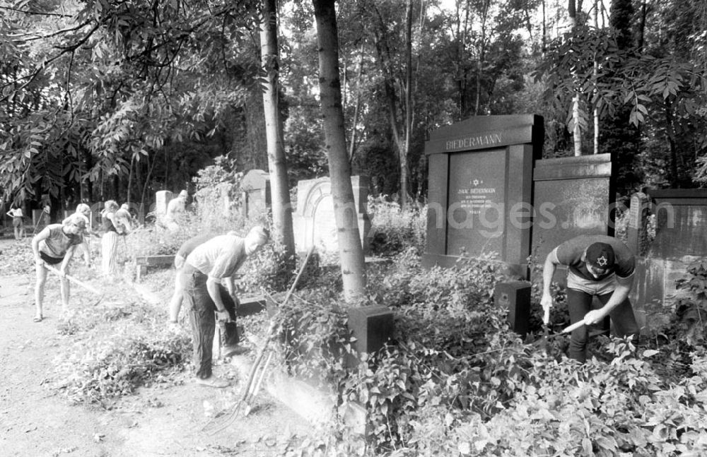 GDR picture archive: Berlin-Weißensee - Arbeitseinsatz der Studenten auf dem jüdischen Friedhof in Weißensee 23.