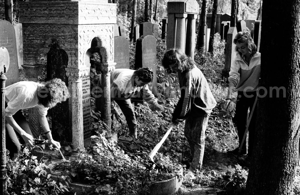 GDR picture archive: Berlin-Weißensee - Arbeitseinsatz der Studenten auf dem jüdischen Friedhof in Weißensee 23.