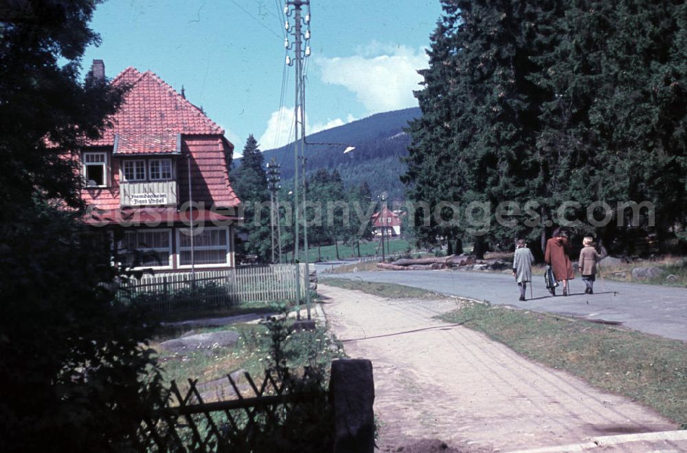 GDR photo archive: Schierke - Spaziergang vorbei am Fremdenheim Haus Vogel (Heute Brockenstübchen) in Schierke im Harz. Walk in Schierke in the Harz Mountains.