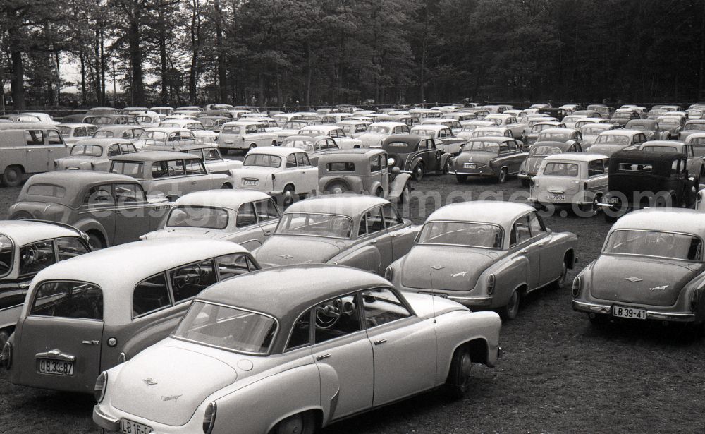GDR photo archive: Gotha - Cars in a parking lot in Gotha in the state Thuringia on the territory of the former GDR, German Democratic Republic