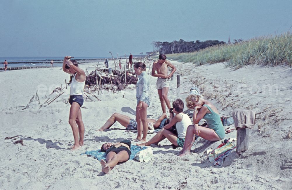 GDR image archive: Born a. Darß - Vacationers and tourists as bathers on the sandy beachthe Baltic Sea in Born a. Darss, Mecklenburg-Western Pomerania on the territory of the former GDR, German Democratic Republic