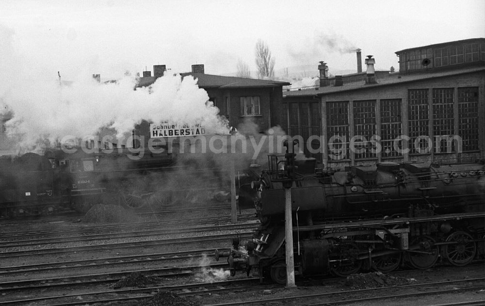Halberstadt: Lokomotive 50 36