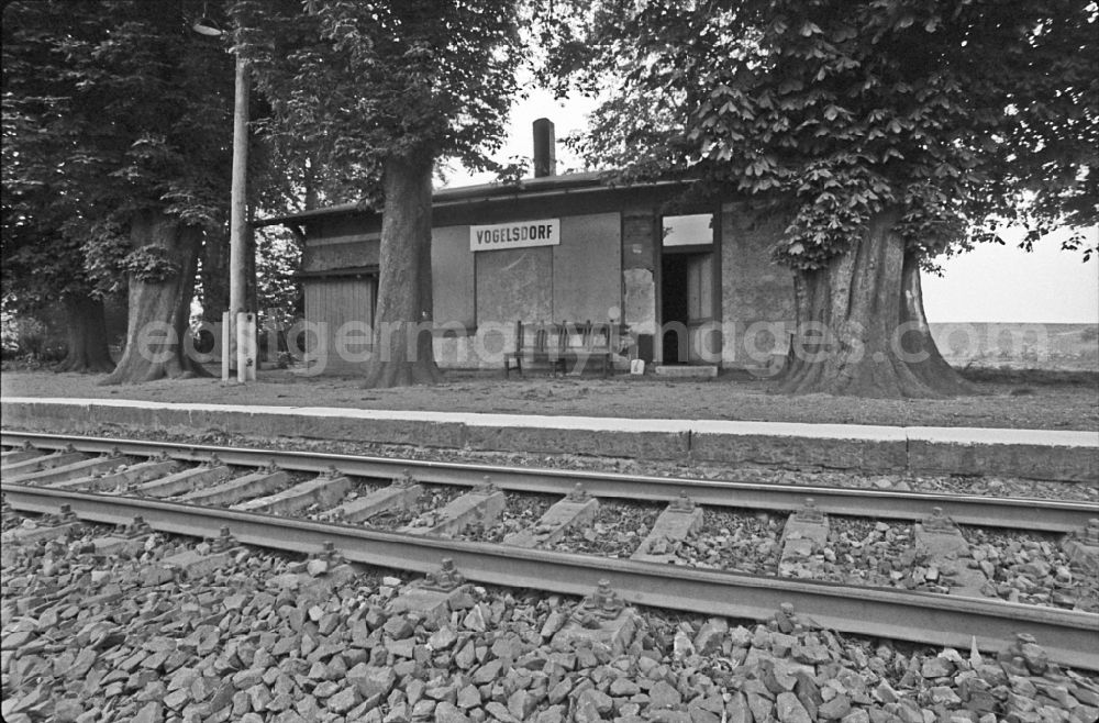 Vogelsdorf: Station area of the Deutsche Reichsbahn in Vogelsdorf, Saxony-Anhalt on the territory of the former GDR, German Democratic Republic