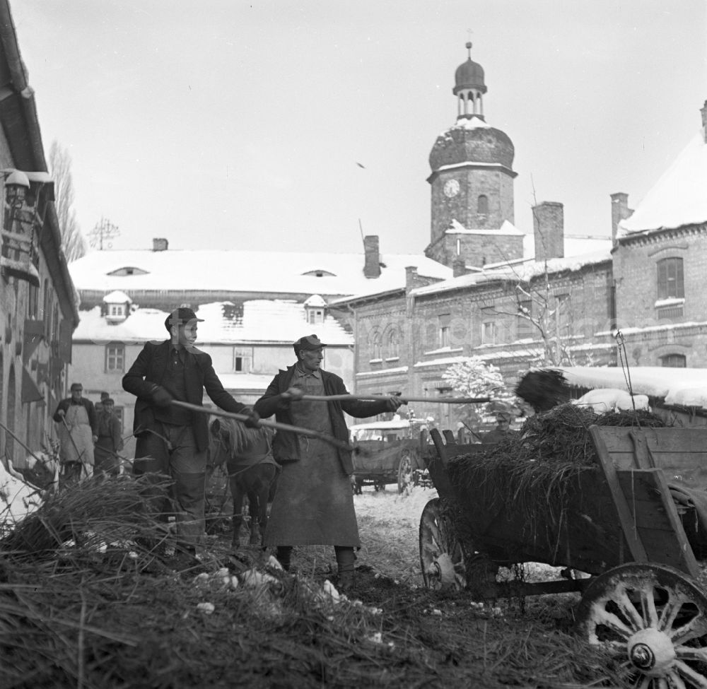 GDR image archive: Fienstedt - Agricultural work in a farm and farm when loading a horse-drawn cart on street Dorfstrasse in Fienstedt, Saxony-Anhalt on the territory of the former GDR, German Democratic Republic