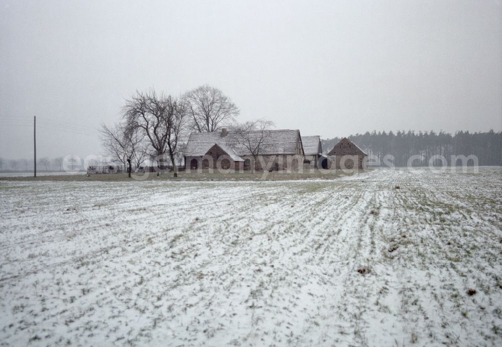GDR photo archive: Horka - Agricultural farm on a wintry snowy field in Horka / Haehnichen, Saxony on the territory of the former GDR, German Democratic Republic