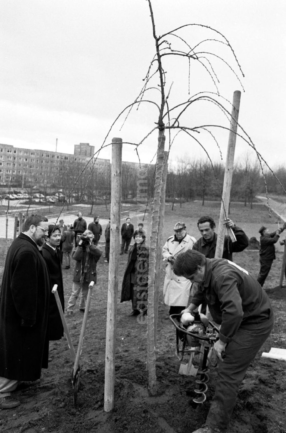 GDR photo archive: unbekannt - Baum pflanzen 2