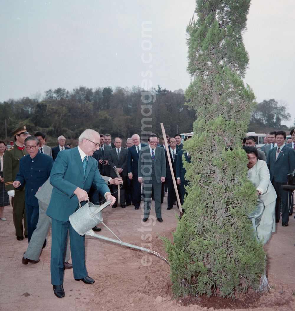 GDR picture archive: Nanjing - The General Secretary of the SED and Chairman of the State Council of the GDR Erich Honecker plants and waters a tree with a watering can in the Memorial Park of the Revolutionary Martyrs of the Chinese People's Revolution in the Yuhuatai district of Nanjing in China