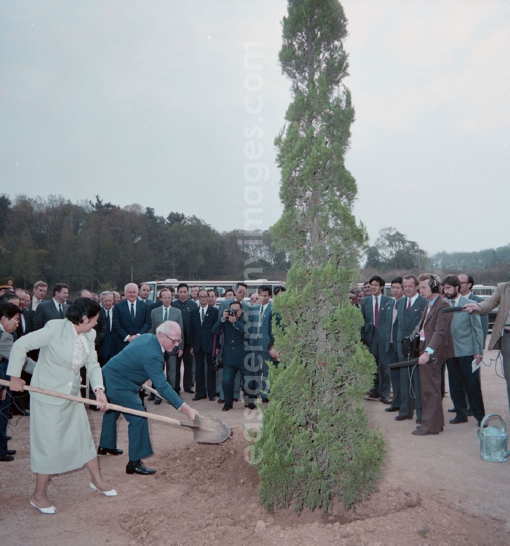 Nanjing: The General Secretary of the SED and Chairman of the State Council of the GDR Erich Honecker plants and waters a tree with a watering can in the Memorial Park of the Revolutionary Martyrs of the Chinese People's Revolution in the Yuhuatai district of Nanjing in China