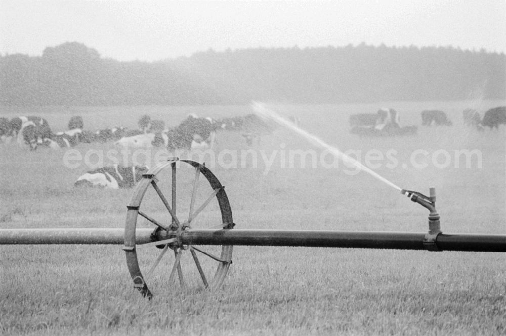 GDR photo archive: Lenzen (Elbe) - Sprinkler in a field in Lenzen (Elbe) in Brandenburg in the area of the former GDR, German Democratic Republic