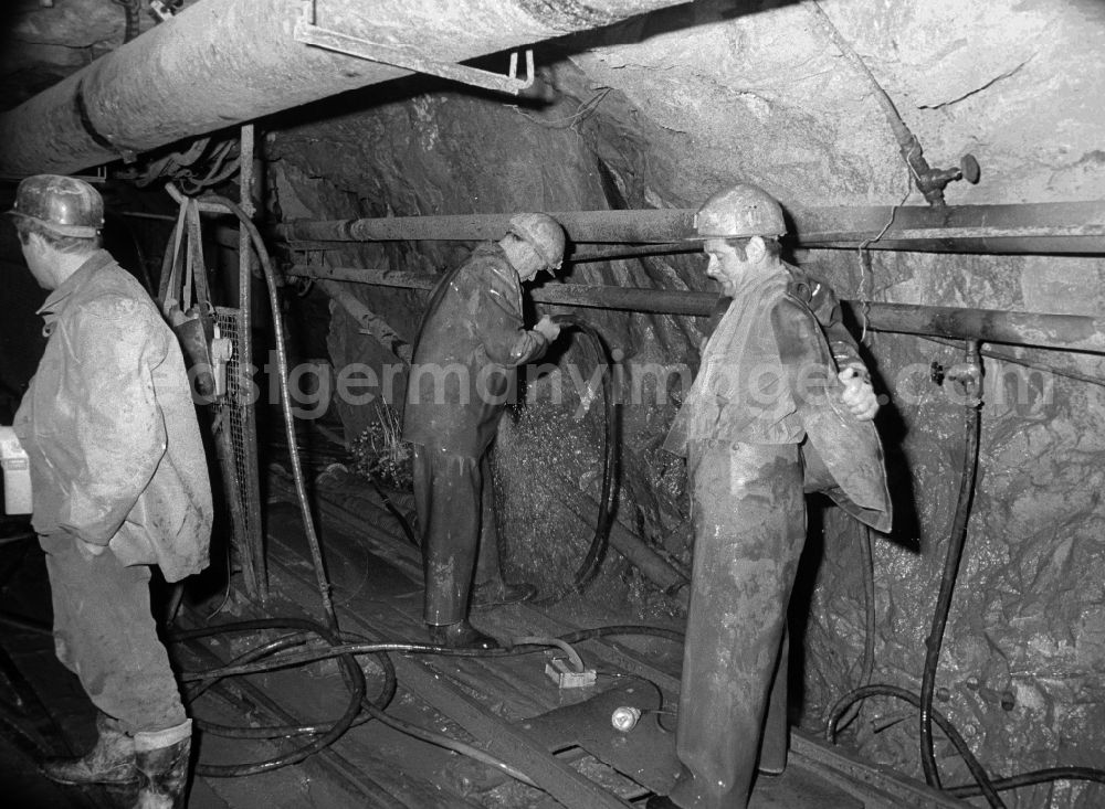 Altenberg: Miners in the tin mining gallery in Altenberg in the federal state of Saxony on the territory of the former GDR, German Democratic Republic