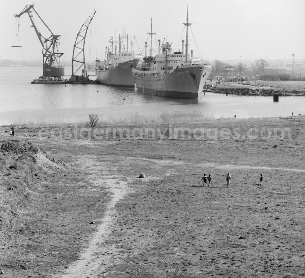 GDR image archive: Rostock - The traditional ship type Peace and the cargo and training ship of the VEB Deutsche Seereederei Georg Buechner are docked at the overseas port in Rostock in the federal state Mecklenburg-Vorpommern on the territory of the former GDR, German Democratic Republic