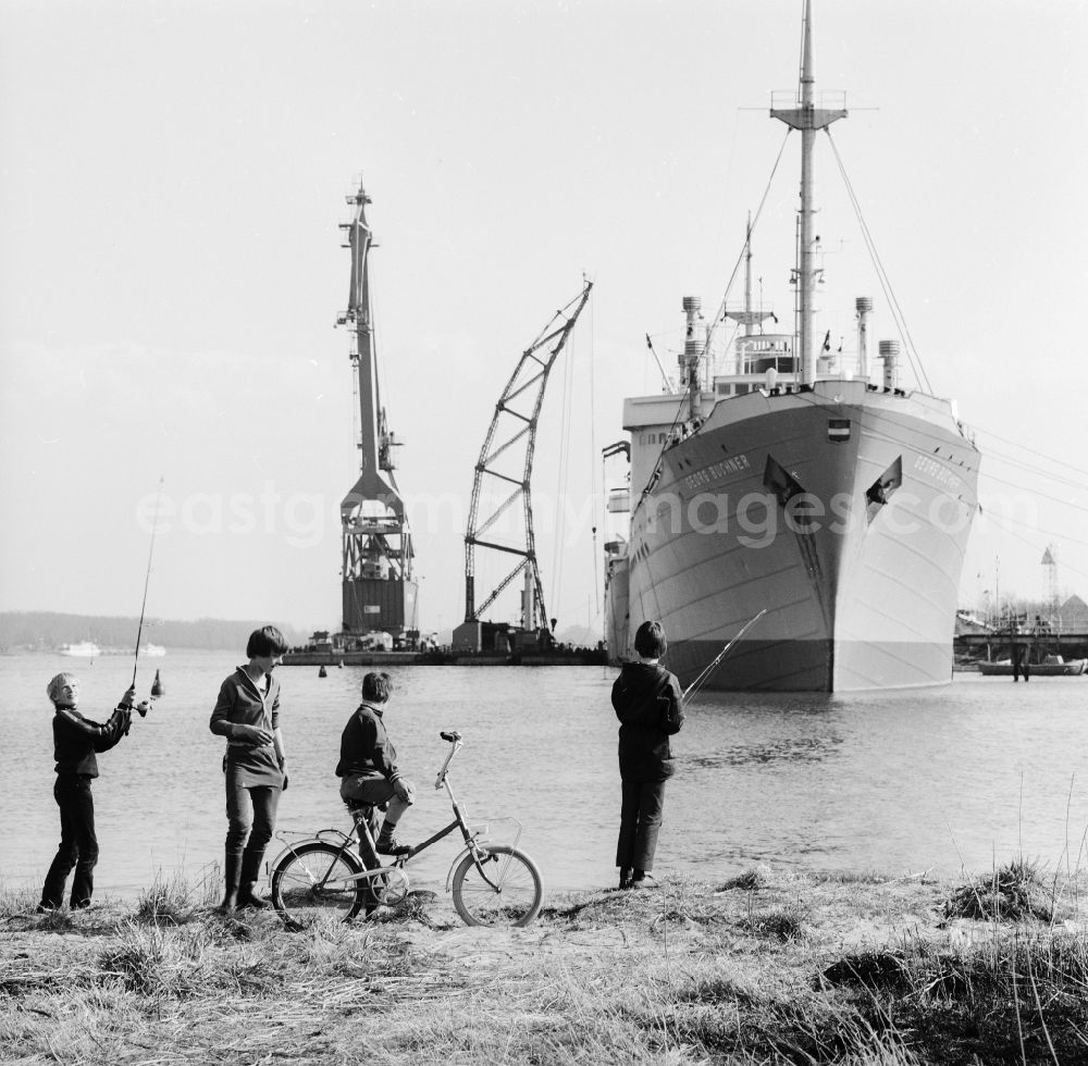 GDR picture archive: Rostock - The cargo and training vessel of the VEB Deutsche Seereederei Georg Buechner is docked in the overseas port of Rostock in the federal state Mecklenburg-Vorpommern on the territory of the former GDR, German Democratic Republic