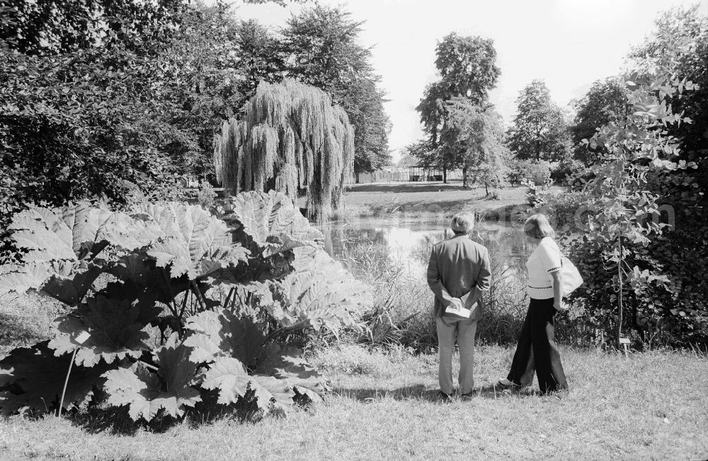 GDR photo archive: Berlin - Visitor in the park of the Spaeth-Arboretum in Berlin, the former capital of the GDR, German democratic republic. The Arboretum the king's moor which a relic of the earlier vast woodlands of the former Coellnischen moor forms to the south of the Spree lies in the former marshland and moorland. The big pond in the Arboretum accommodates many botanical species