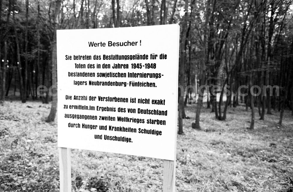 GDR picture archive: Mecklenburg-Vorpommern Neubrandenburg - Bez. Neubrandenburg - Brandenburg Grabfunde eines ehem. Internierungslagers 19.07.9