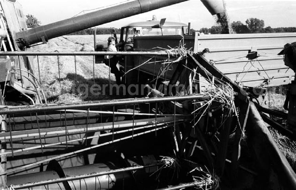 GDR photo archive: Beeskow - 05.