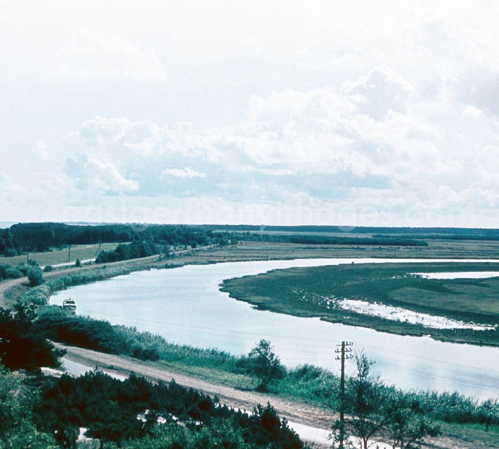 GDR photo archive: Prerow - View of the high dune between the Prerower stream and the Baltic Sea in Prerow in the federal state Mecklenburg-West Pomerania in the area of the former GDR, German democratic republic
