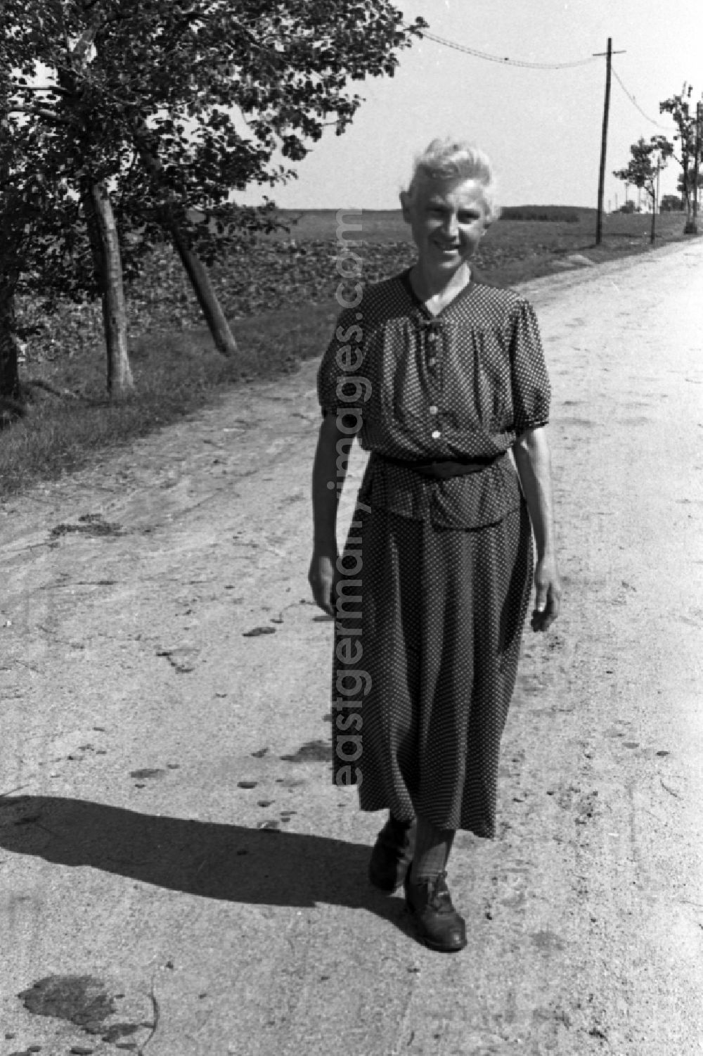 GDR image archive: Trossin - Farmer on a country lane in Trossin in the federal state Saxony in Germany