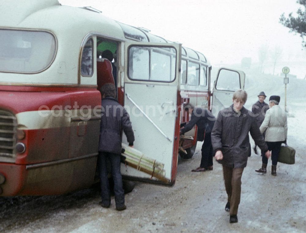 GDR photo archive: Uckermünde - Passanten steigen an einer Haltestelle in einem Bu, vom Typ Ikarus 55, ein bzw. aus.