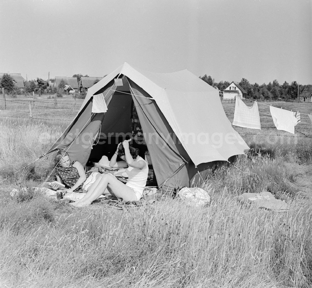 GDR picture archive: Dierhagen - Two women camping at the campsite in the seaside Dierhagen between the Baltic Sea and Bodden on the Fischland-Zingst peninsula in Dierhagen in Mecklenburg-Vorpommern on the territory of the former GDR, German Democratic Republic
