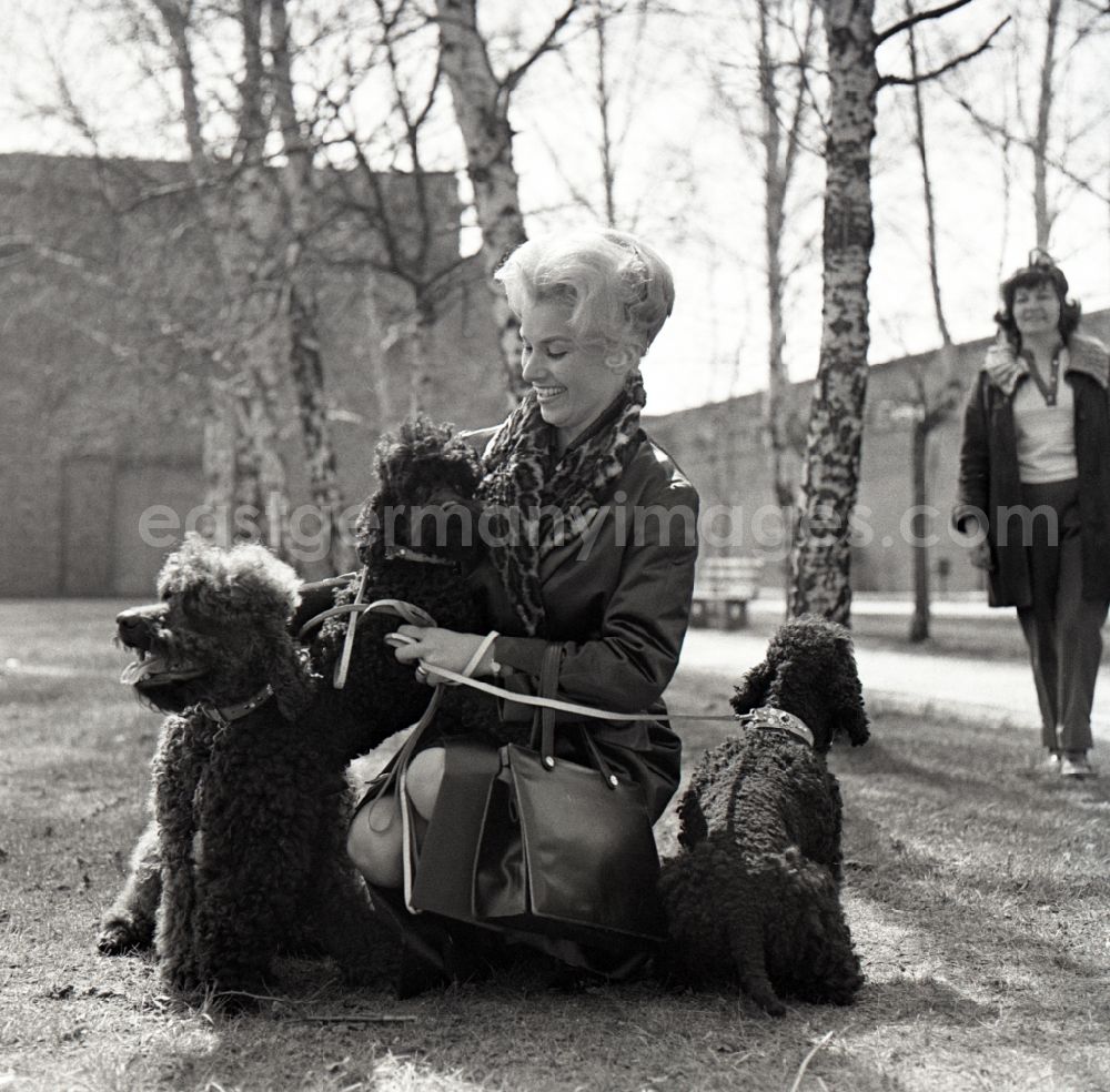 GDR picture archive: Berlin - Christine Laszar, actress, with poodle in the park in the territory of the former GDR, German Democratic Republic