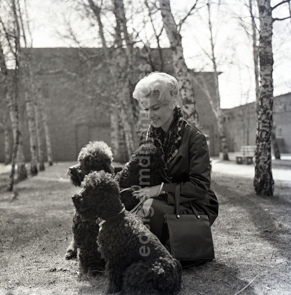 Berlin: Christine Laszar, actress, with poodle in the park in the territory of the former GDR, German Democratic Republic