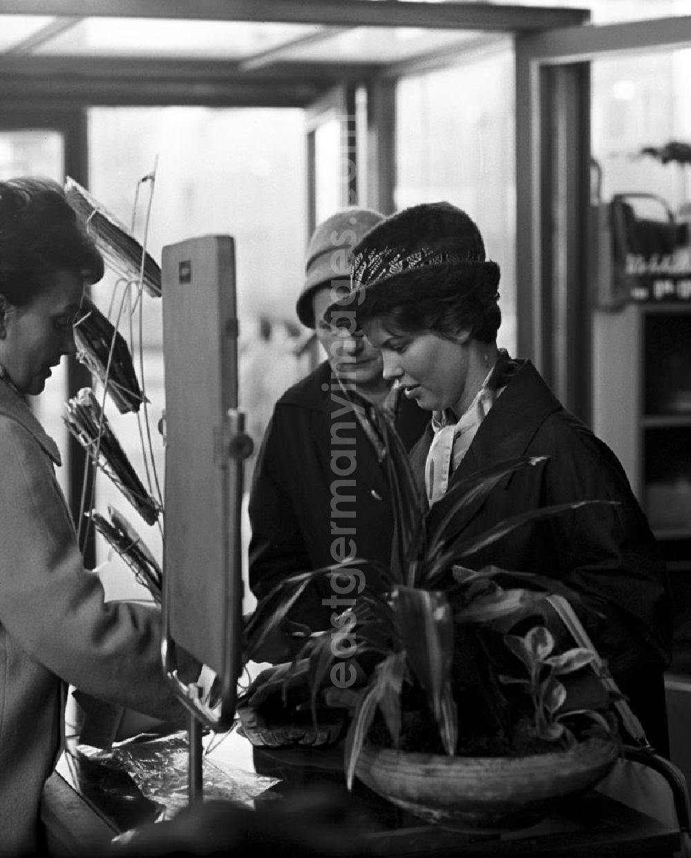 GDR photo archive: Berlin - Eine Verkäuferin berät in einem Damenmode-Geschäft in Berlin zwei Kundinnen bei der Auswahl von Handschuhen.