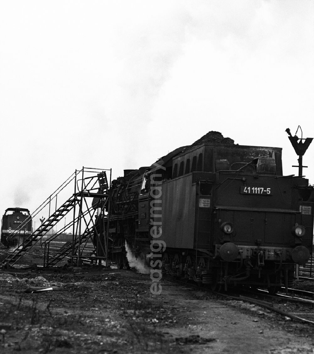 GDR picture archive: Halberstadt - Steam locomotives - operating by Deutsche Reichsbahn - series 41 117-5 in Halberstadt in the state Saxony-Anhalt on the territory of the former GDR, German Democratic Republic