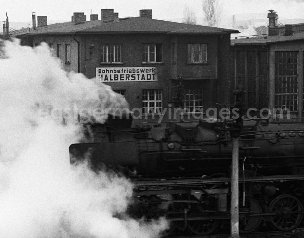 GDR image archive: Halberstadt - Steam locomotives - operating by Deutsche Reichsbahn - series 50 36