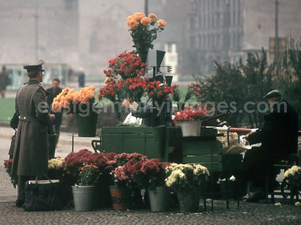 Berlin: Verkaufsstand für Blumen auf dem Berliner Alexanderplatz.