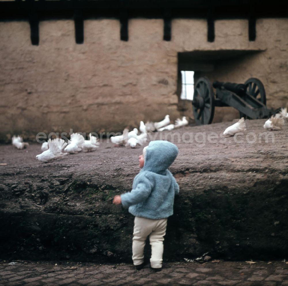 GDR photo archive: Eisenach - Ein Kleinkind beobachtet Tauben auf dem Burghof der Wartburg in Eisenach. Der Legende nach wurde die Wartburg im Jahre 1067 von Graf Ludwig dem Springer gegründet, erstmals erwähnt wurde sie im Jahre 108
