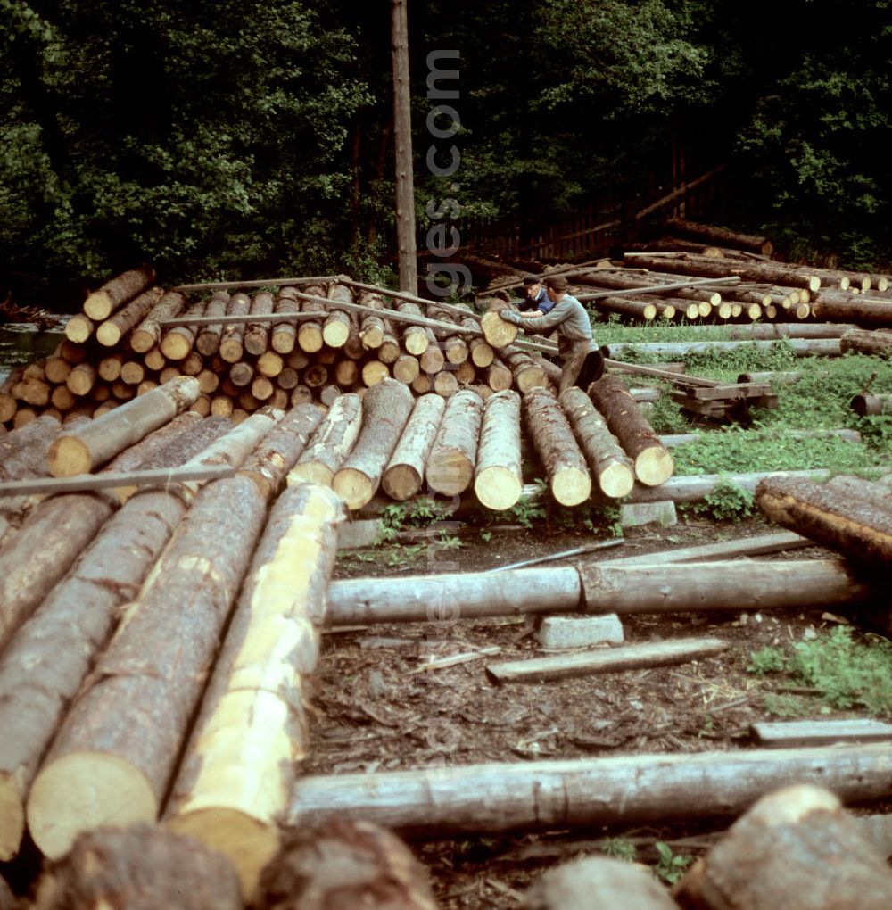 GDR picture archive: Katzhütte - Forstbetrieb des VEB Holzkombinat Werk Oberhammer in Katzhütte im Thüringer Wald. Der Thüringer Wald mit seinen Wander- und Erholungsmöglichkeiten war ein beliebtes Urlaubsziel in der DDR.