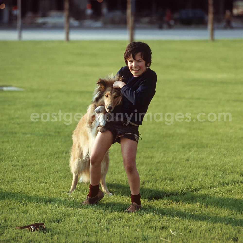 GDR photo archive: Berlin - Ein Junge spielt auf einer Rasenfläche am Berliner Fernsehturm mit seinem Hund. Auch in der DDR kannte jedes Kind den Kult-Collie Lassie und träumte davon, einen solchen Hund zu besitzen.