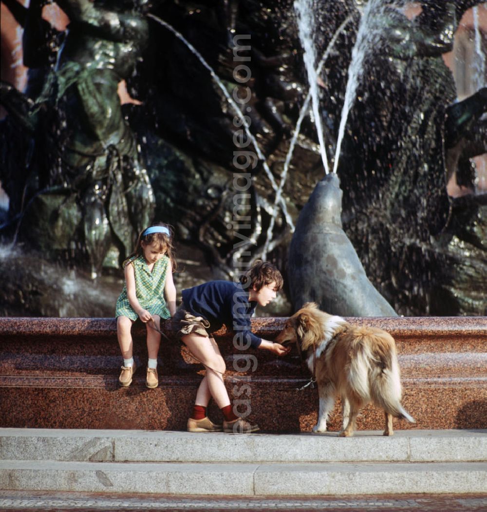 GDR photo archive: Berlin - Ein Junge gibt seinem Hund Wasser aus dem Berliner Neptunbrunnen. Auch in der DDR kannte jedes Kind den Kult-Collie Lassie und träumte davon, einen solchen Hund zu besitzen.