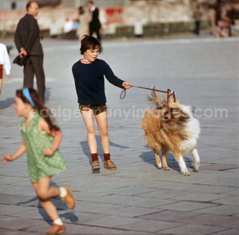 Berlin: Ein Junge spielt mit seinem Hund am Berliner Neptunbrunnen. Auch in der DDR kannte jedes Kind den Kult-Collie Lassie und träumte davon, einen solchen Hund zu besitzen.
